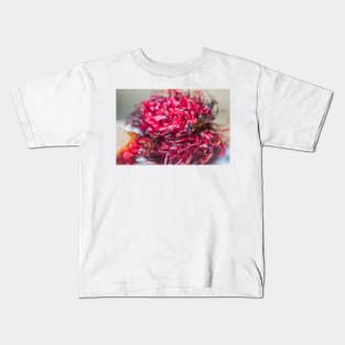 Rambutan 2 + 2 Kids T-Shirt